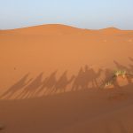 Nadège Pic_coach de vie pour femmes_voyage dans le désert marocain entre femmesroc
