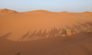 Nadège Pic_coach de vie pour femmes_voyage dans le désert marocain entre femmesroc